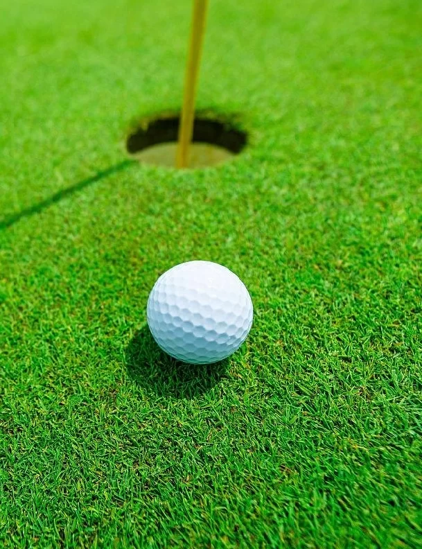 Golf Gräs