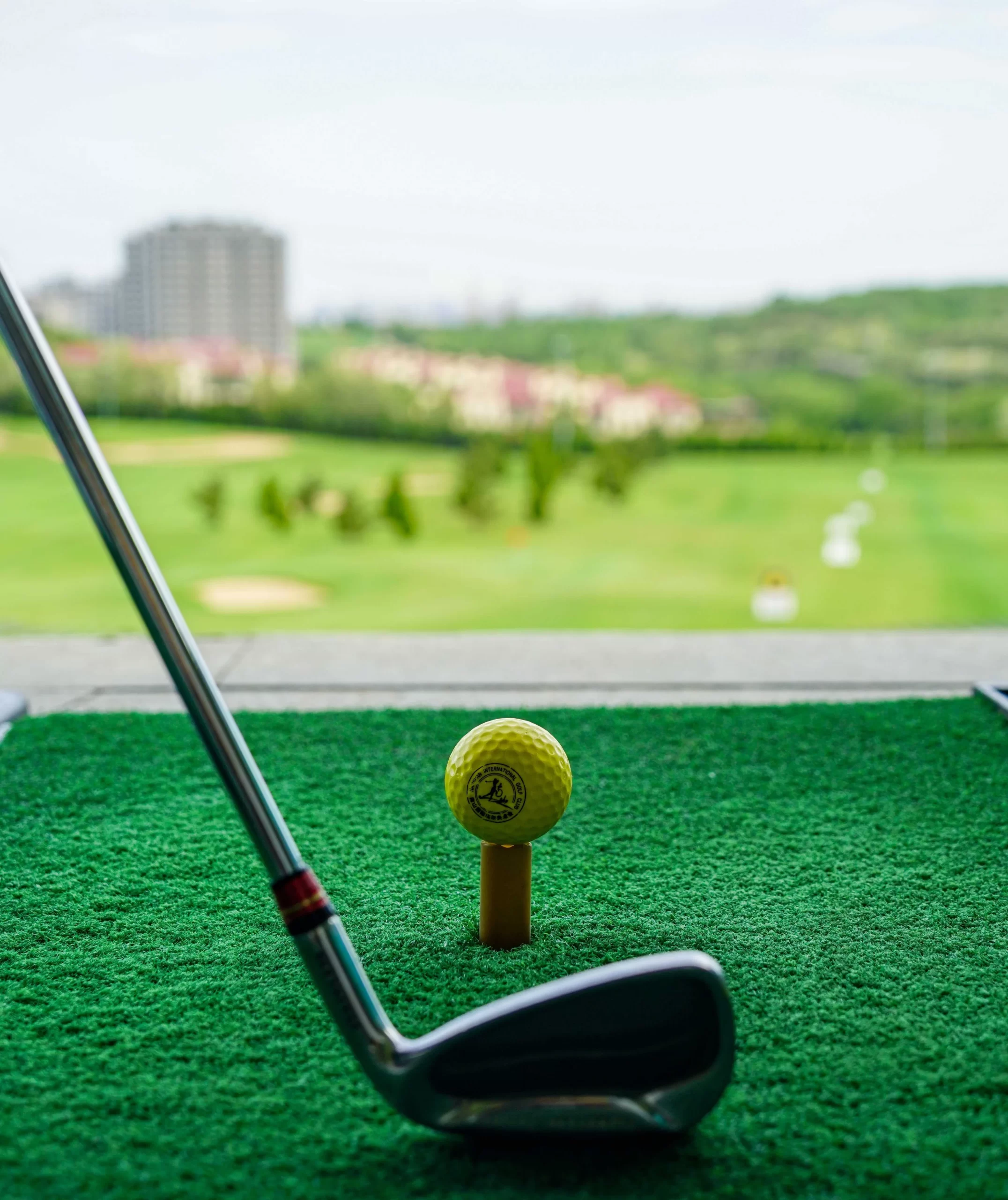 Golfbansgräs: Viktiga typer och underhåll för en professionell gräsmatta